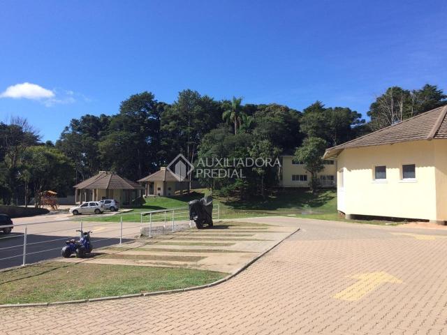 Apartamento para alugar com 2 dormitórios em São luiz, Canela cod:299218 - Foto 17