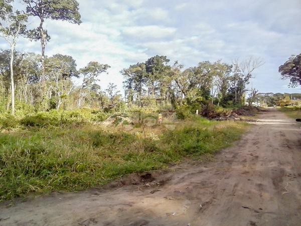 Terreno à venda em Cohapar, Guaratuba cod:125331 - Foto 13