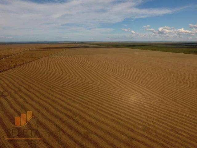 Fazenda à venda, 12650000 m² por r$ 16.000.000 - vila rica - barreiras/ba - Foto 9