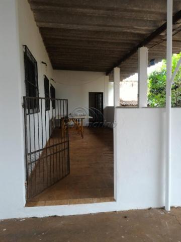 Casa para alugar com 3 dormitórios em Vila santa tereza, Jaboticabal cod:L3304 - Foto 7