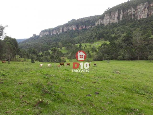 Terreno de 30 alqueires em ponte alta - sc - Foto 9