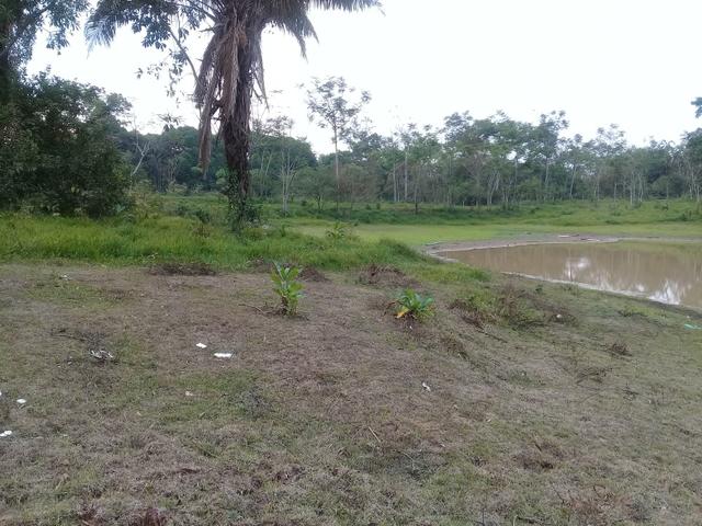 Alugo chácara 3 minutos do centro, 2 hectares - Foto 2