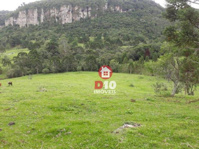 Terreno de 30 alqueires em ponte alta - sc - Foto 20
