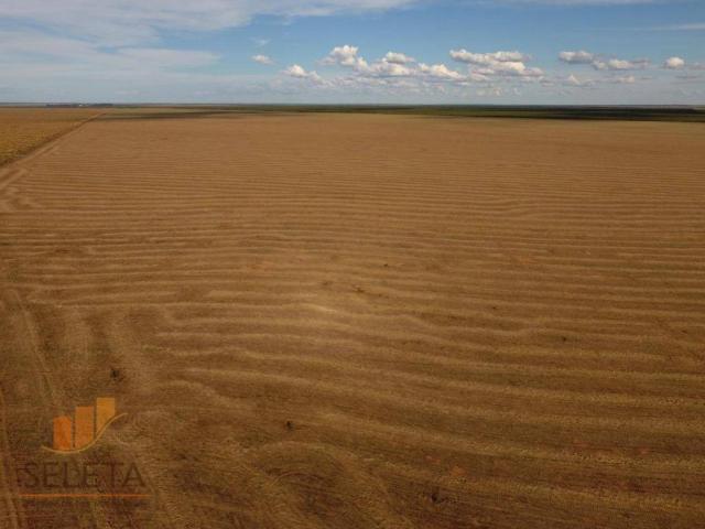Fazenda à venda, 12650000 m² por r$ 16.000.000 - vila rica - barreiras/ba - Foto 12