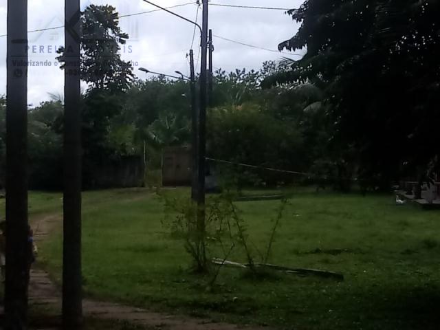 197 - Belíssimo sitio Situado No Jardim Neópolis Venda R$200.000,00 - Foto 2