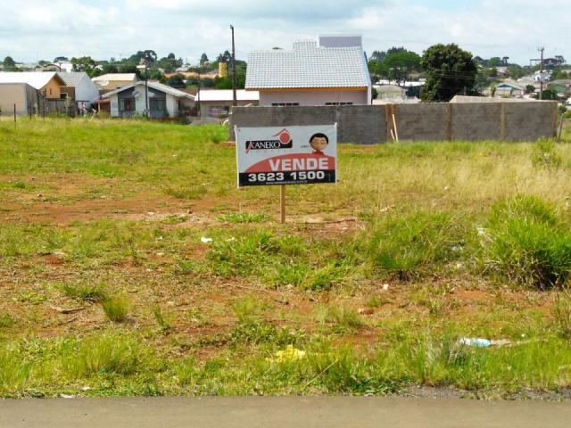 8287 | terreno à venda em vila bela, guarapuava
