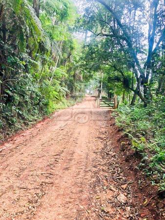 Sítio à venda em Centro, Rio branco do sul cod:155475 - Foto 7