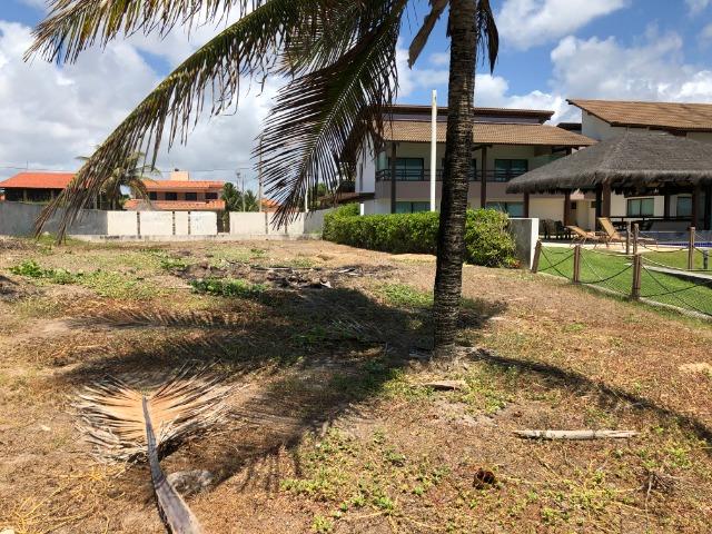 Excelente Lote 16X40 beira-mar, Porto de Galinhas Ipojuca/PE - Brasil - Foto 7