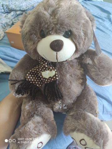 Urso Apaixonados por pelúcia