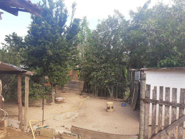 Vende se casa no trapiche lote medindo 10x38 - Foto 5