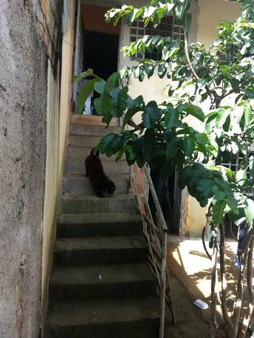 Ágio de Casa - Foto 16
