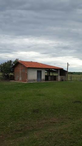 Sitio Arrendamento Oportunidade - Foto 2