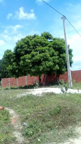 Terreno Em Berimbau