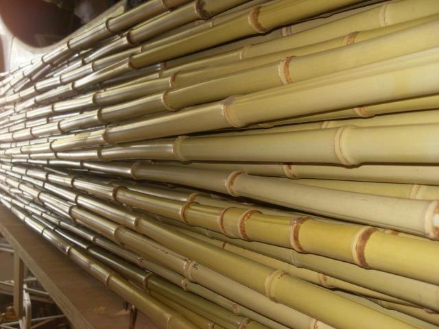 Bambu cana da índia de 4 cm a 5 cm de diâmetro - Foto 4