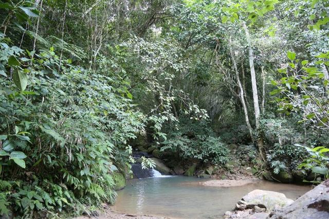 Compre seu Lote Dentro de Condomínio Fechado em Cachoeiras de Macacu | Finan Direto - Foto 20