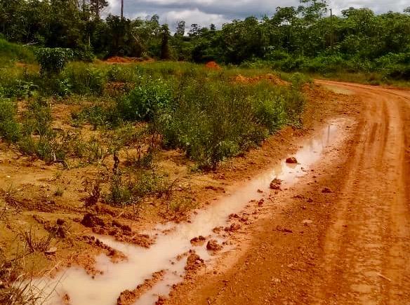 Fazenda de 610 Alqueires no Pará à R$ 28.000,00/HA - Foto 4