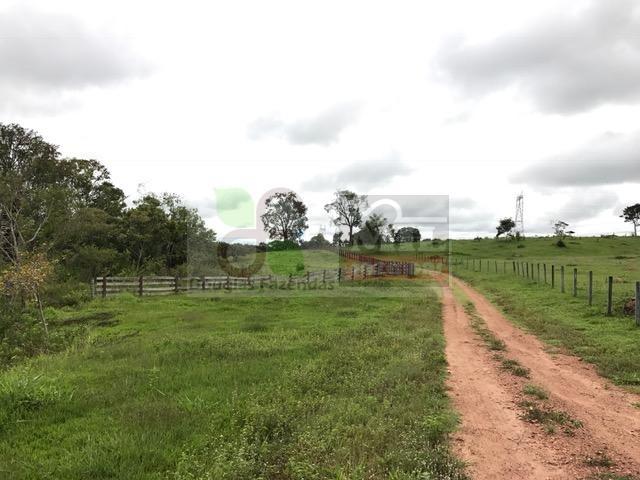 220 Alq. (Plana + Asfalto + Rio). 70 km de Goiânia - Foto 12