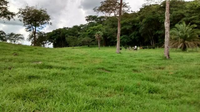 100 Alq. Cultura | Margem Lago | 78 km de Goiânia. R$ 15 Milhões - Foto 2