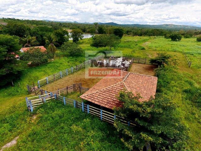 100 Alq. (484 Há). Dupla - Aptidão. Uruaçu/GO. Rica em Água | Boa Estrutura - Foto 10