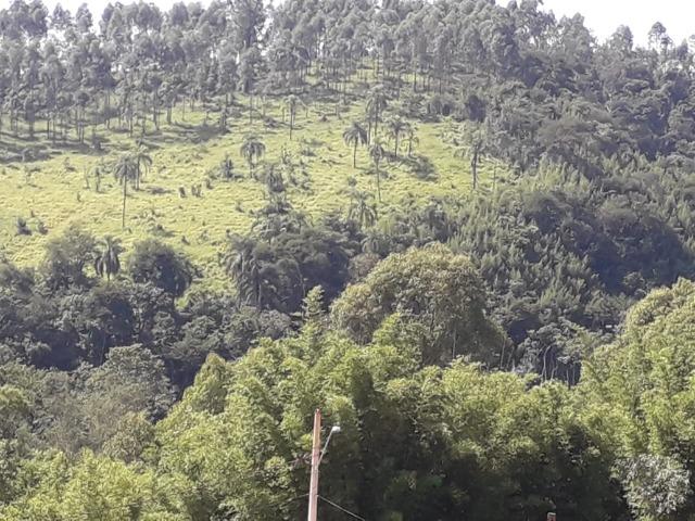 Área Santa Bárbara - Foto 7