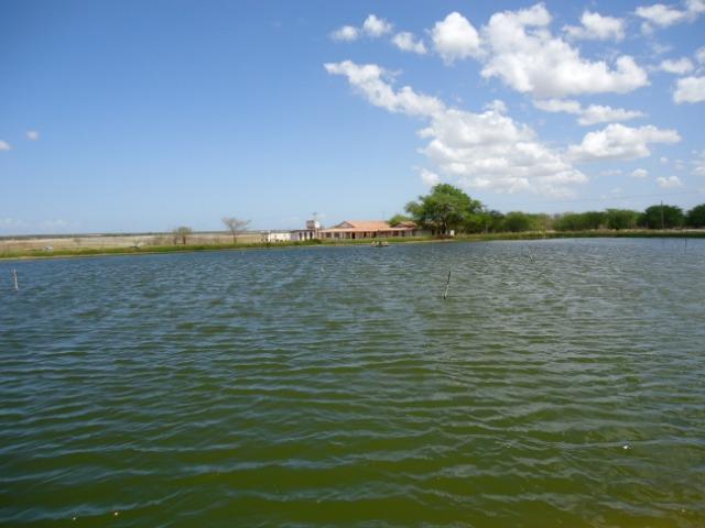 Vendo Fazenda de Camarão em Mossoró ? RN - Foto 19
