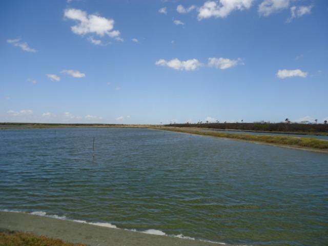 Vendo Fazenda de Camarão em Mossoró ? RN - Foto 16