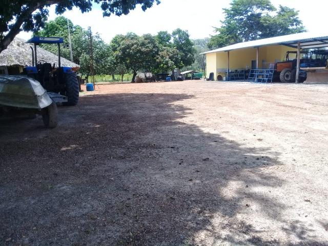 Fazenda Boa de Terra em Cocalinho - MT - Foto 16