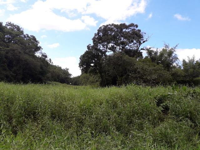 Baixo valor Barbada d R$ 2.500.000,00 por R$ 1.050.000,00-Na Área Industrial d Joinville - Foto 7