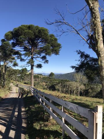 Sítio em Urubici - Foto 2