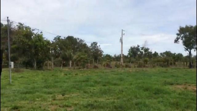 726 Há Alô Brasil - MT. Barata > 2,5 Milhões > 50% Permuta - Foto 4