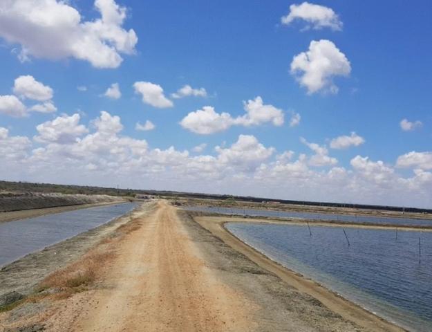 Vendo Fazenda de Camarão em Mossoró ? RN - Foto 13