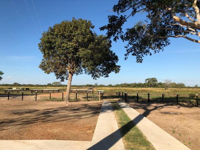 Fazenda Boa de Terra em Cocalinho - MT - Foto 9