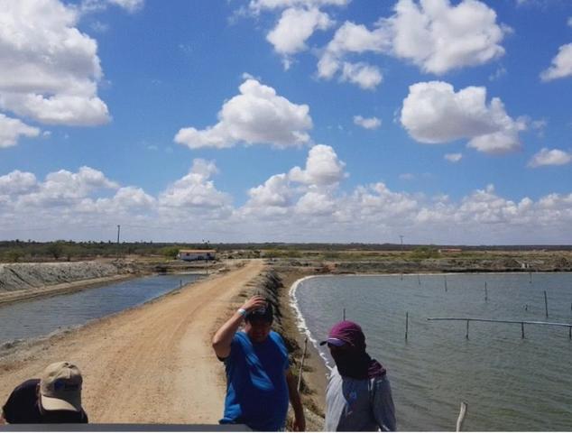 Vendo Fazenda de Camarão em Mossoró ? RN - Foto 12