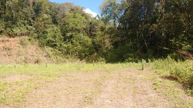 Terreno No Centro De Massaranduba - Foto 4