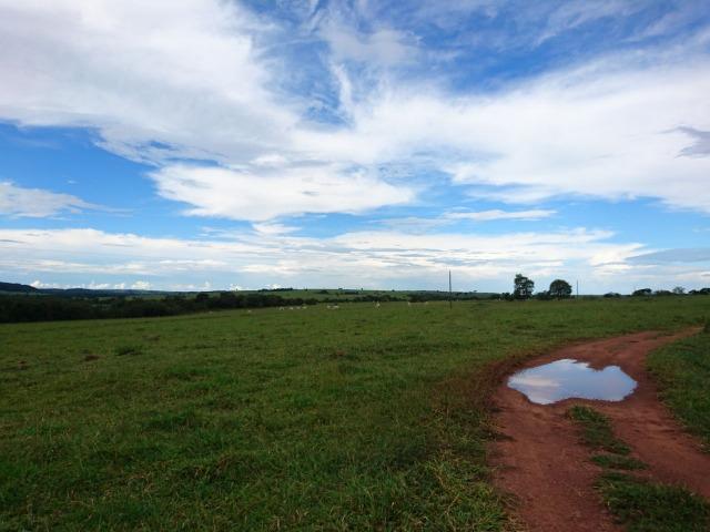 Fazenda Agrícola em Palminopolis-GO. 50 Alq. c/ 30 em Lavoura - Foto 9