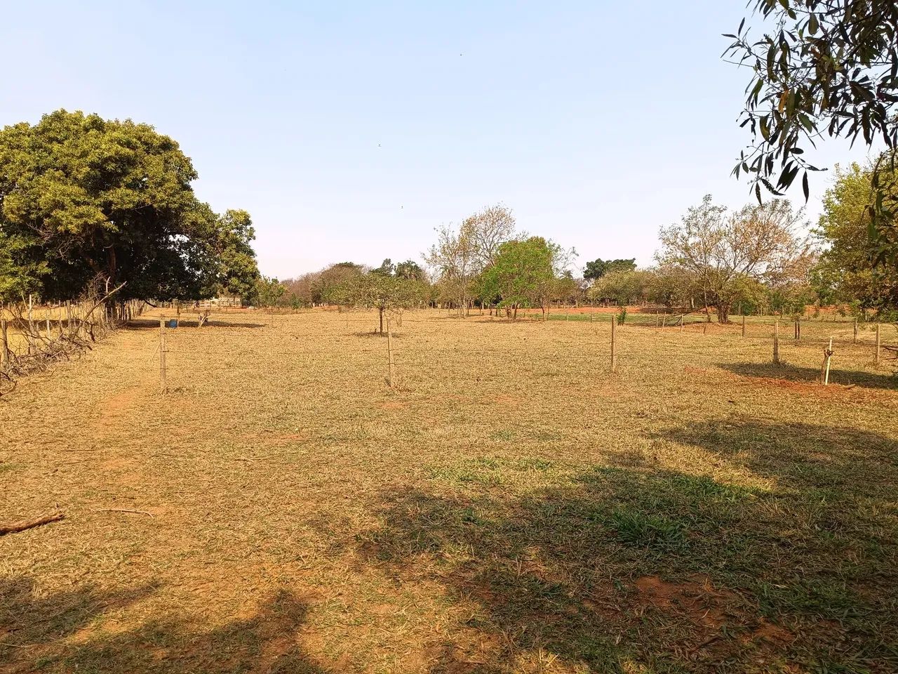 Chácara Arco Íris em Araçatuba-SP- terreno de 5000 m² - Oportunidade - Foto 8