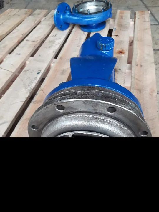 Bomba sanitária inox - Foto 2