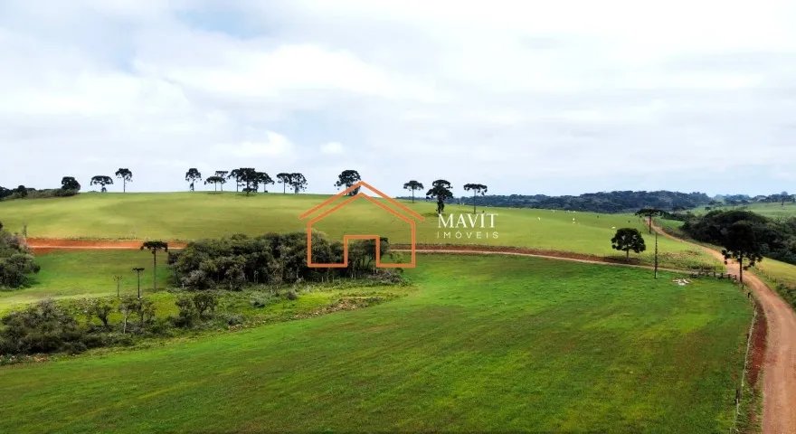 Terreno Rural 2.070.000m² com Mangueira e Brete, 550.000m² de Lavoura em Cerro Negro - SC