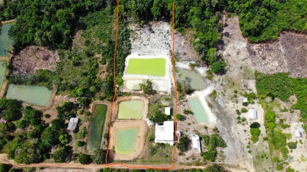 Sítio Manacapuru  - Foto 9