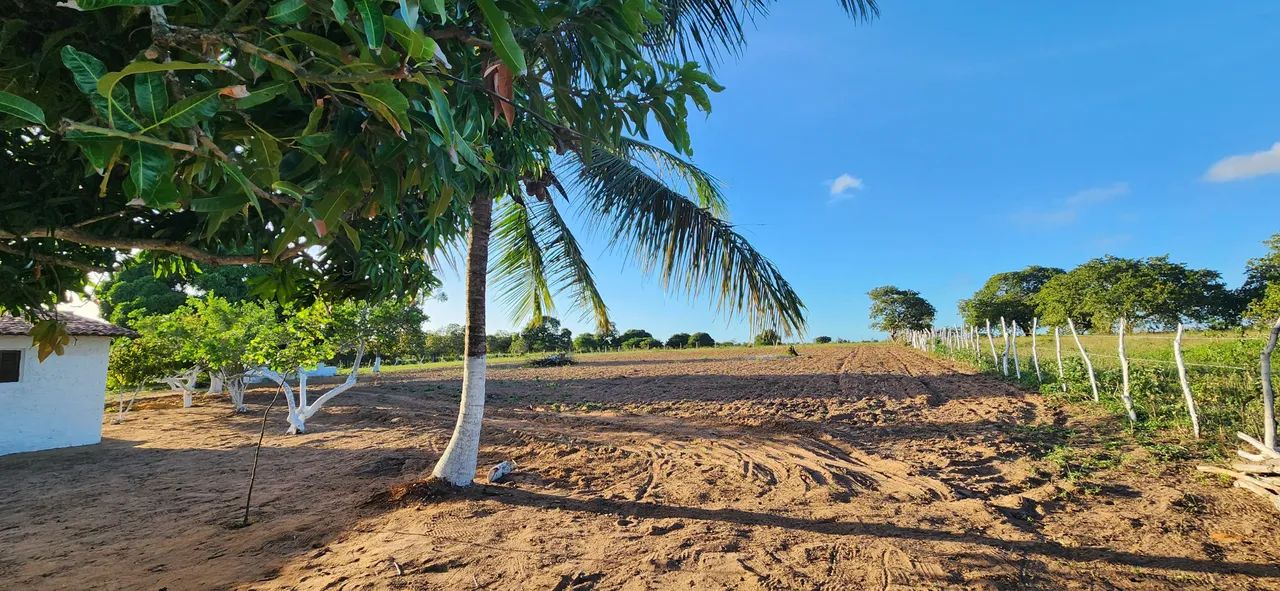 chácara com 5.200 metros quadrados em boa saúde  Barata uma oportunidade unica - Foto 3