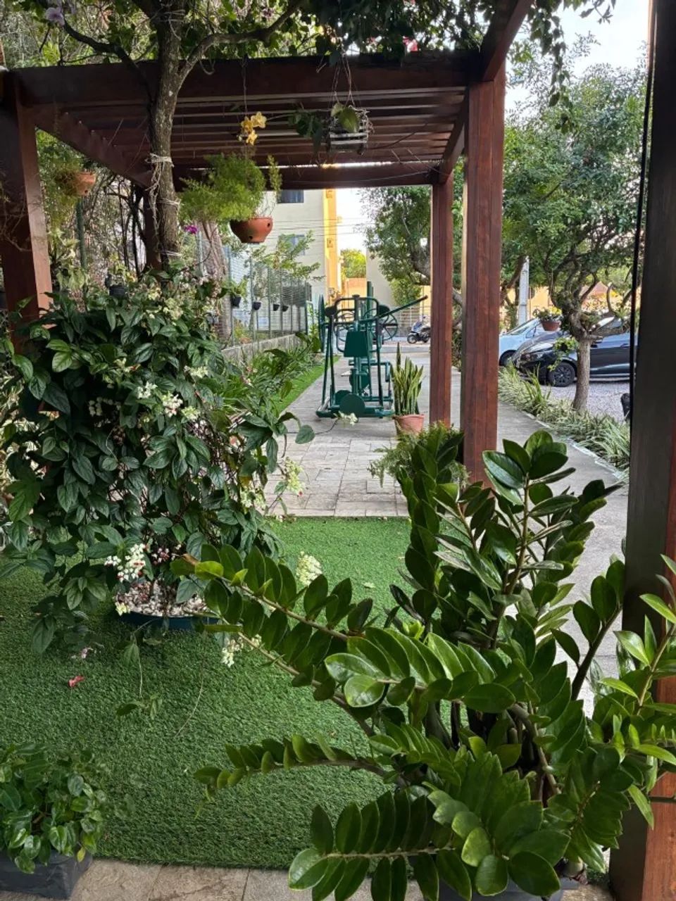 Foto - Natal - Ponta Negra