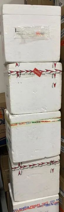 Caixas de isopor  - Foto 2
