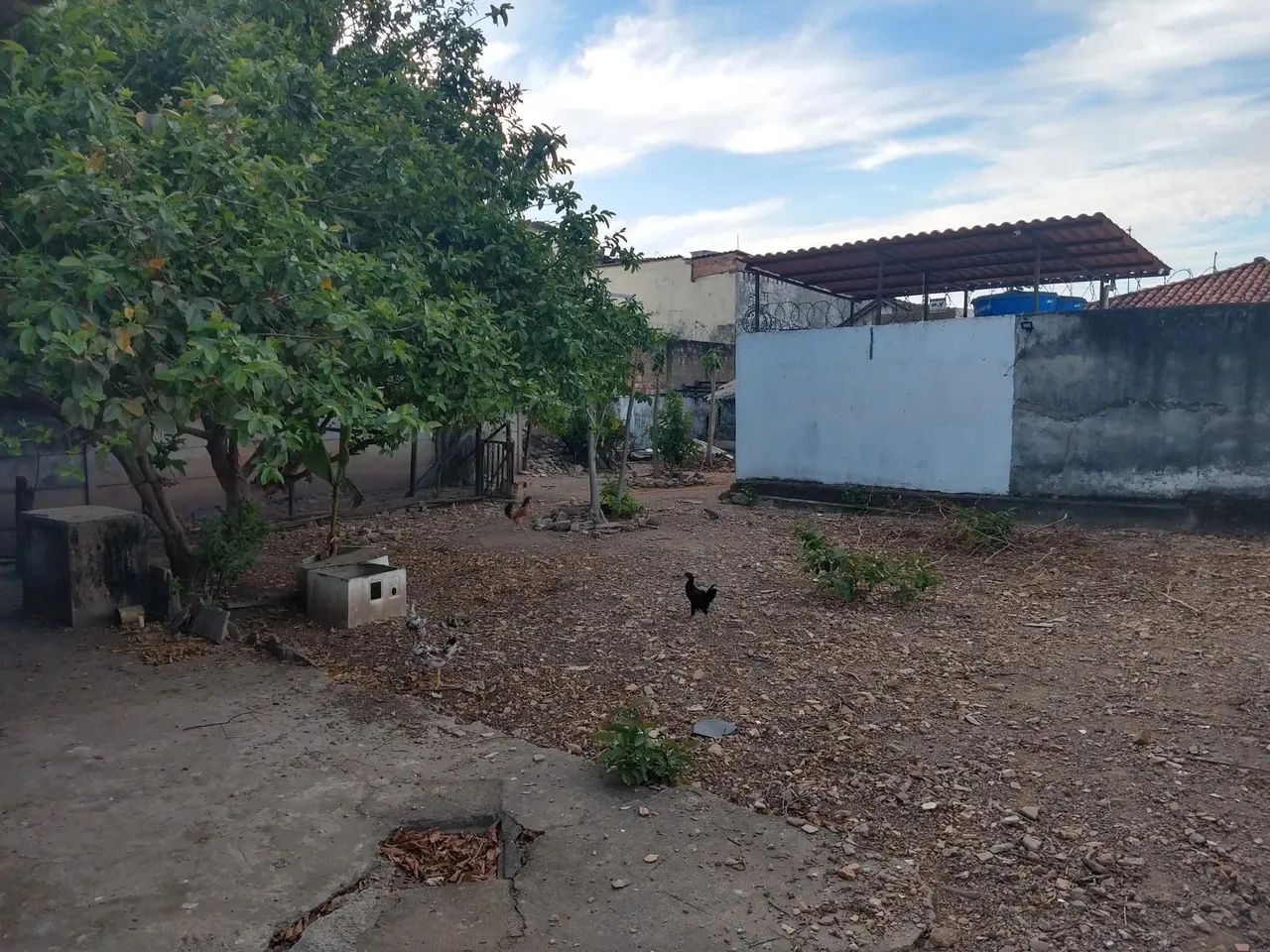 Lote - Terreno à venda, Santa Efigênia - Belo Horizonte/MG - Foto 11