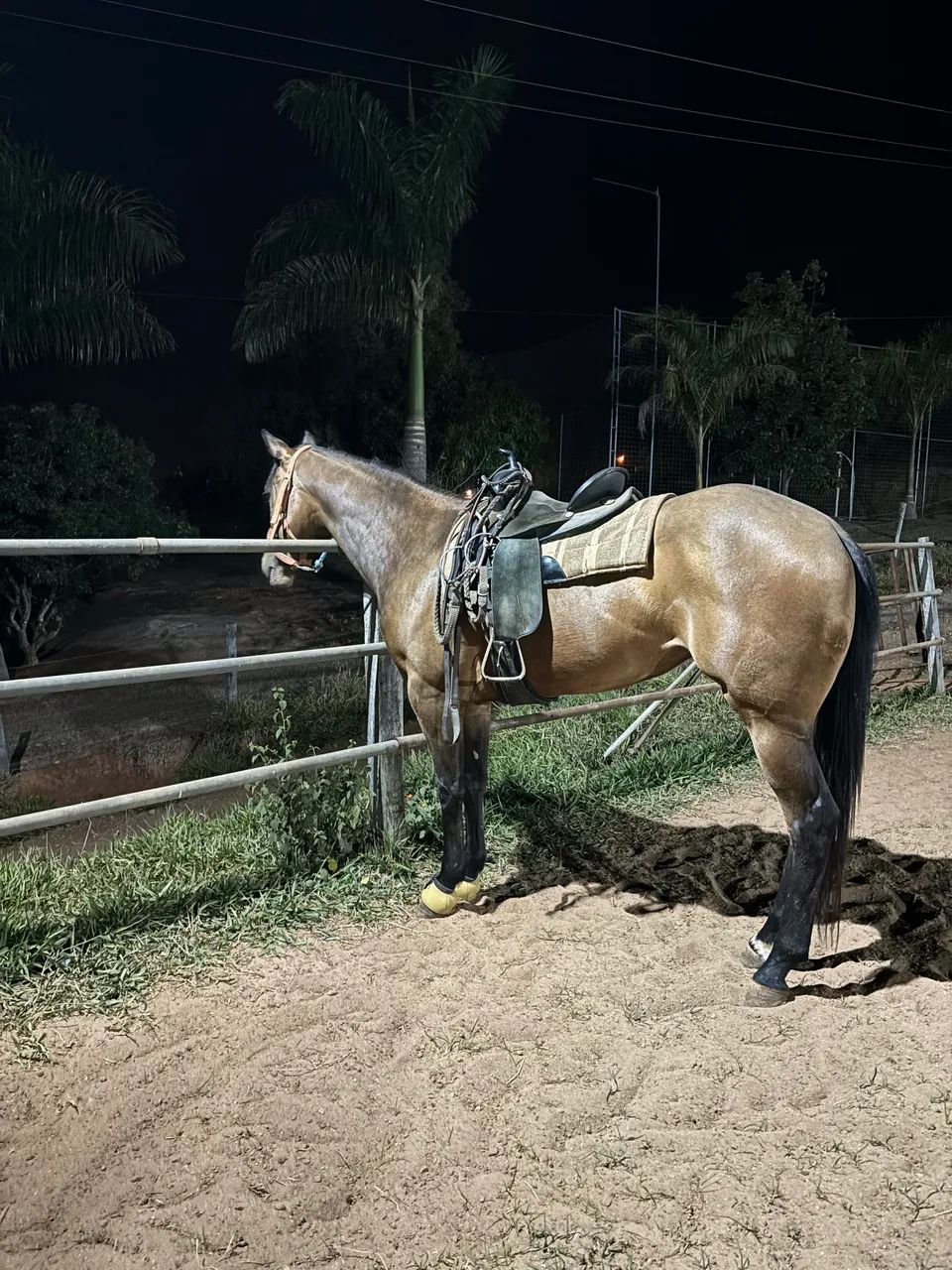 BETY DASH CHP - Foto 2