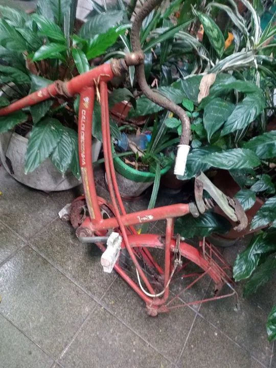 Quadro Caloi Cecizinha 
