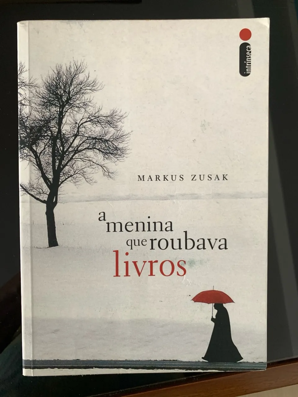 A Menina que Roubava Livros - Markus Zusak