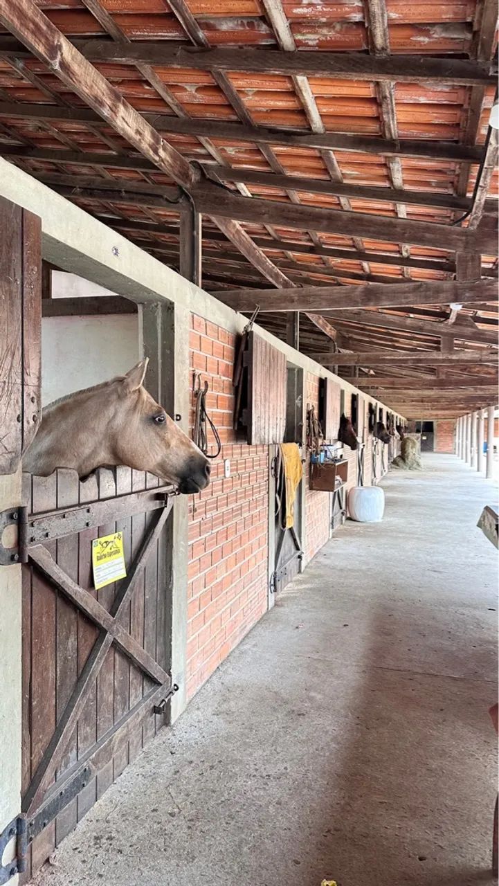 Aluguel de cocheiras