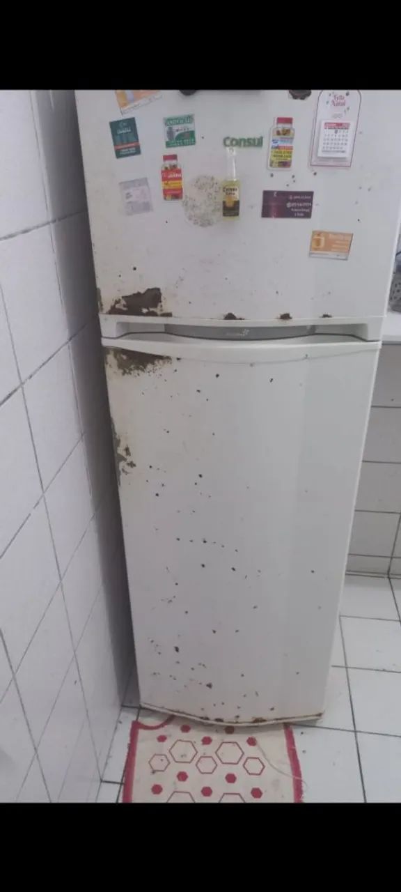 Geladeira cônsul fross free - Foto 5