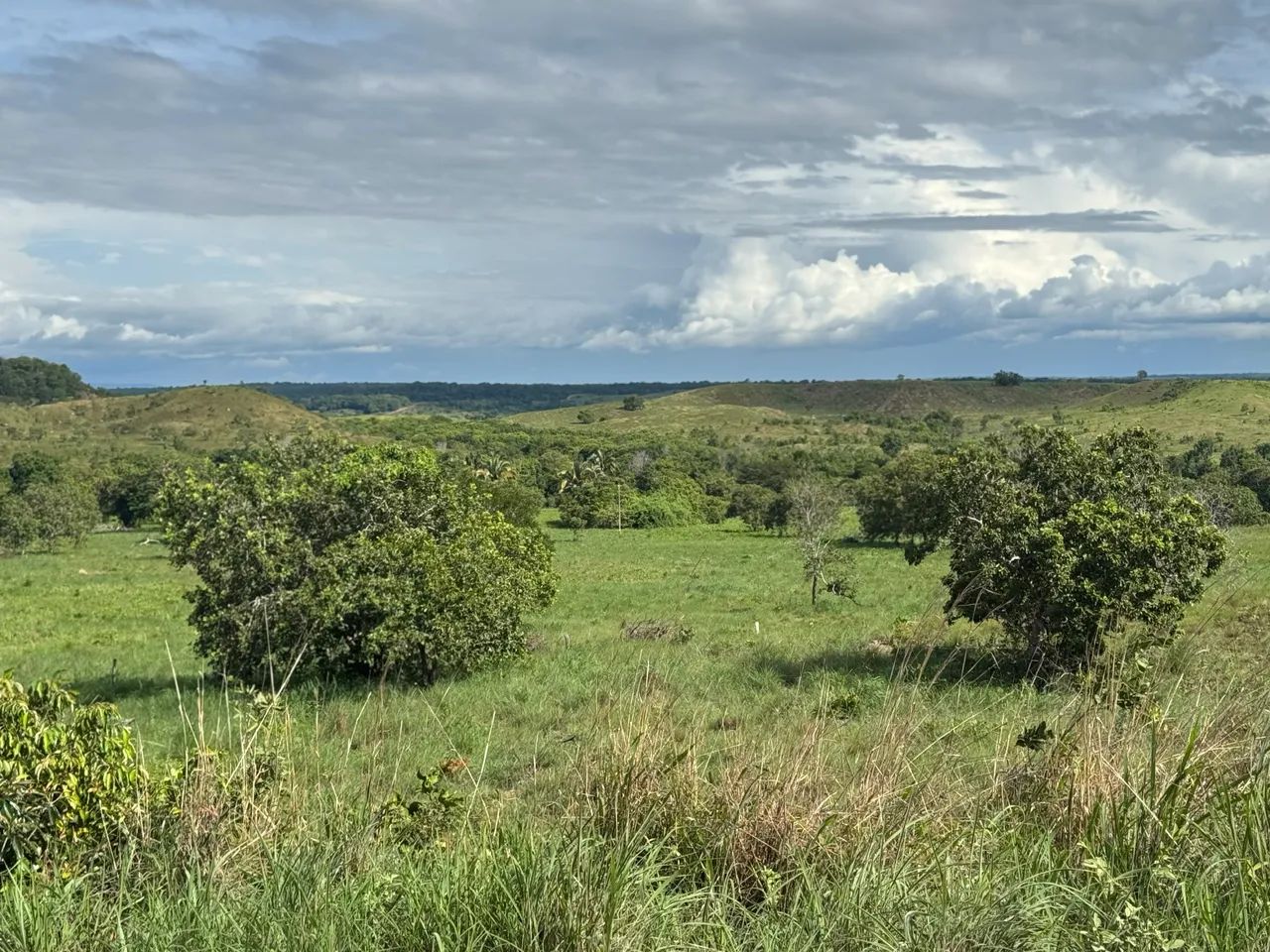 Mega Oportunidade 56 Alq com 28 de Pasto - Foto 4
