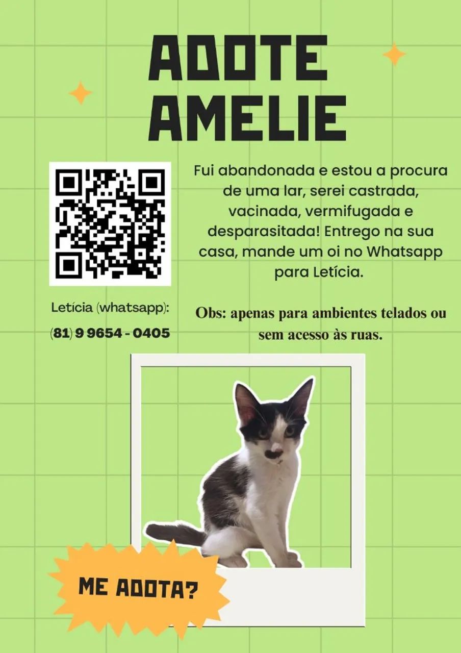 Gatinhas Amlie e Melissa para adoção!